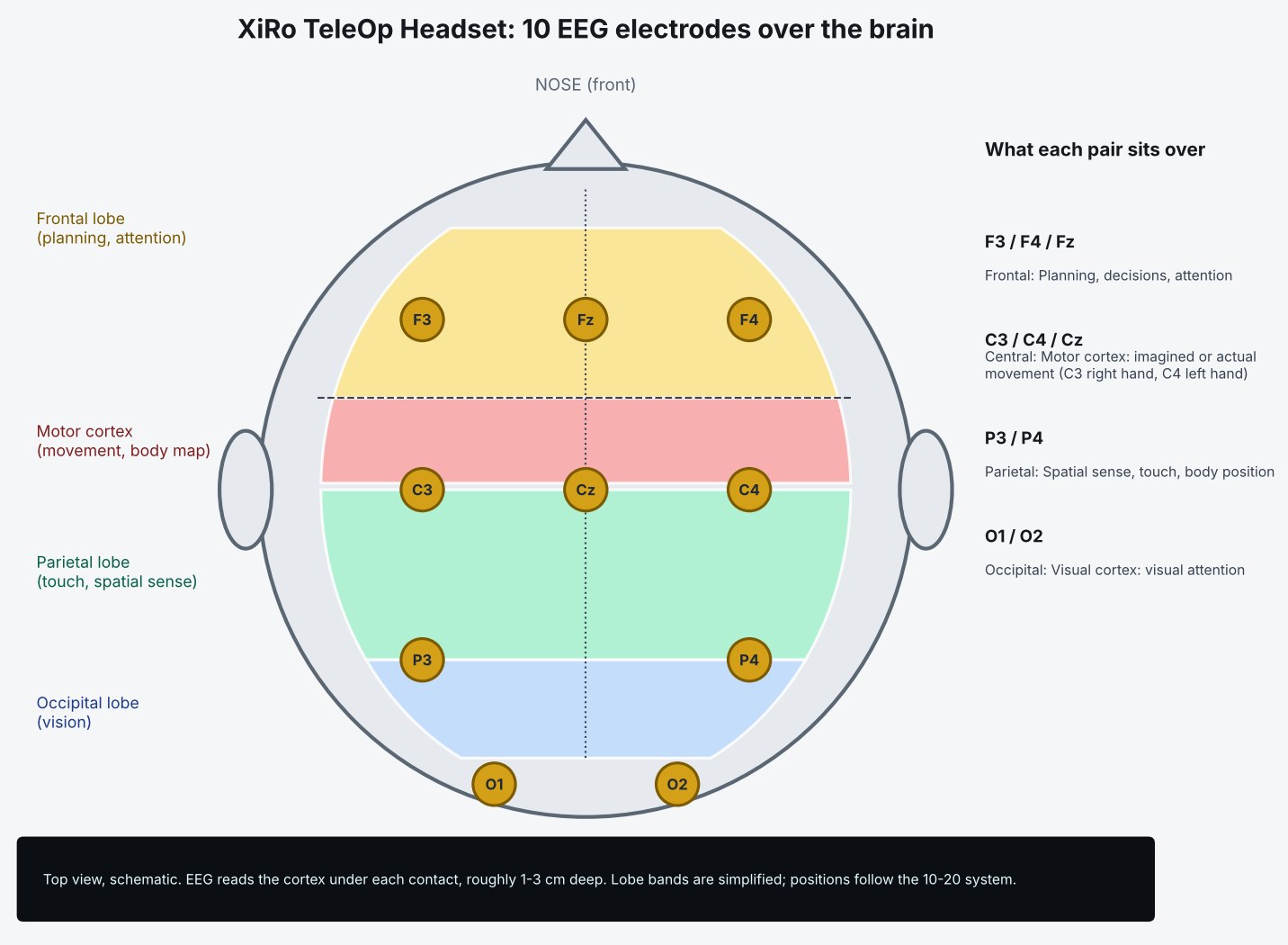 Top view of the 10 EEG electrodes over brain regions
